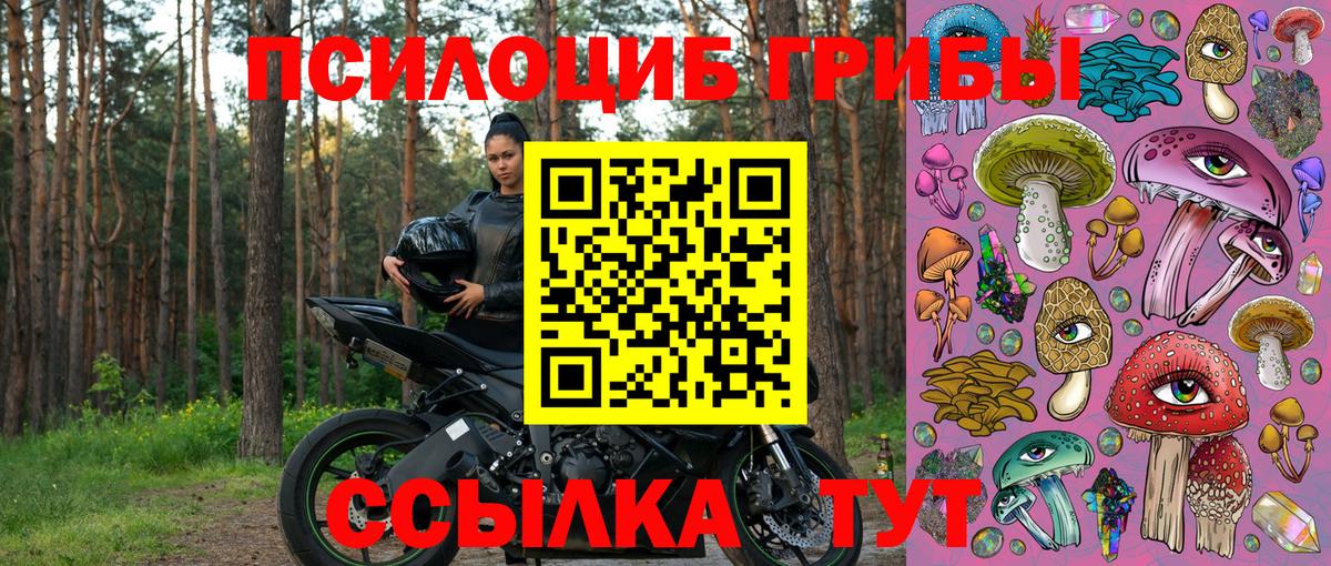 Галлюциногенные грибы Psilocybine cubensis Сердобск